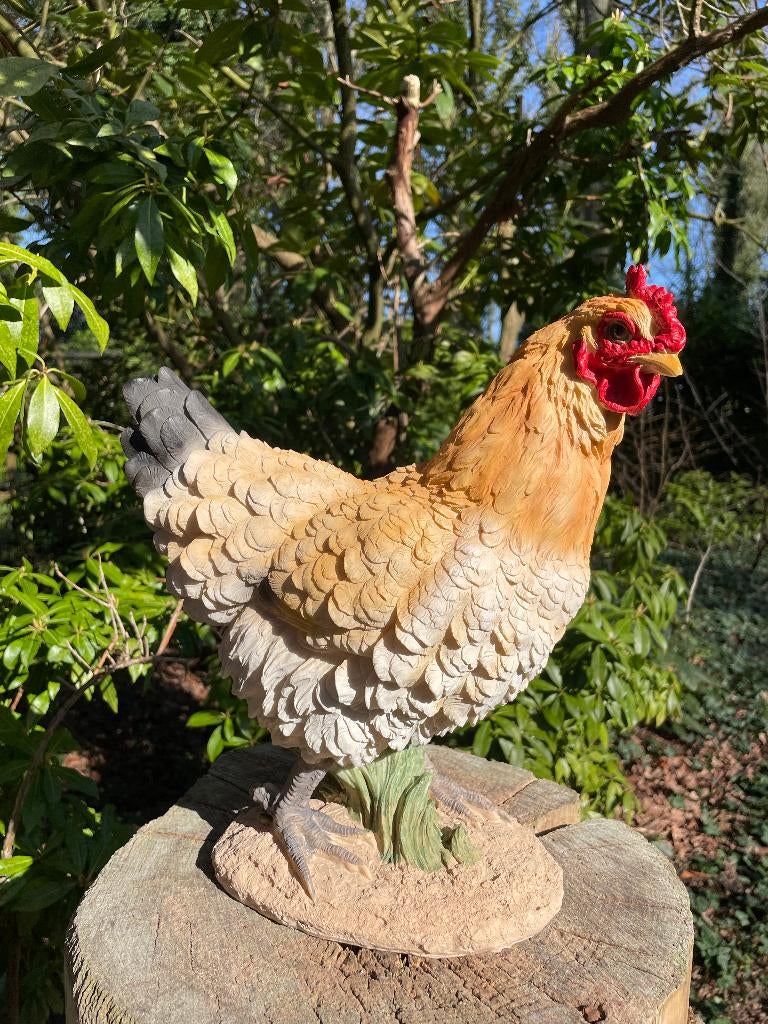 Beeld Kip, tuin, vijver, gazon, boerderij 33cm, Ophalen, Nieuw, Kunststof, Dierenbeeld