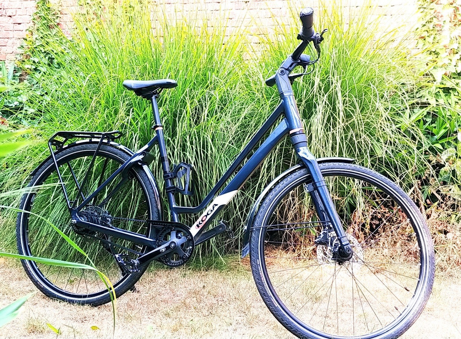 KOGA  F3 4.0 (Gatesriem - maat 53), Ophalen, 53 tot 56 cm, Nieuw, Koga Miyata