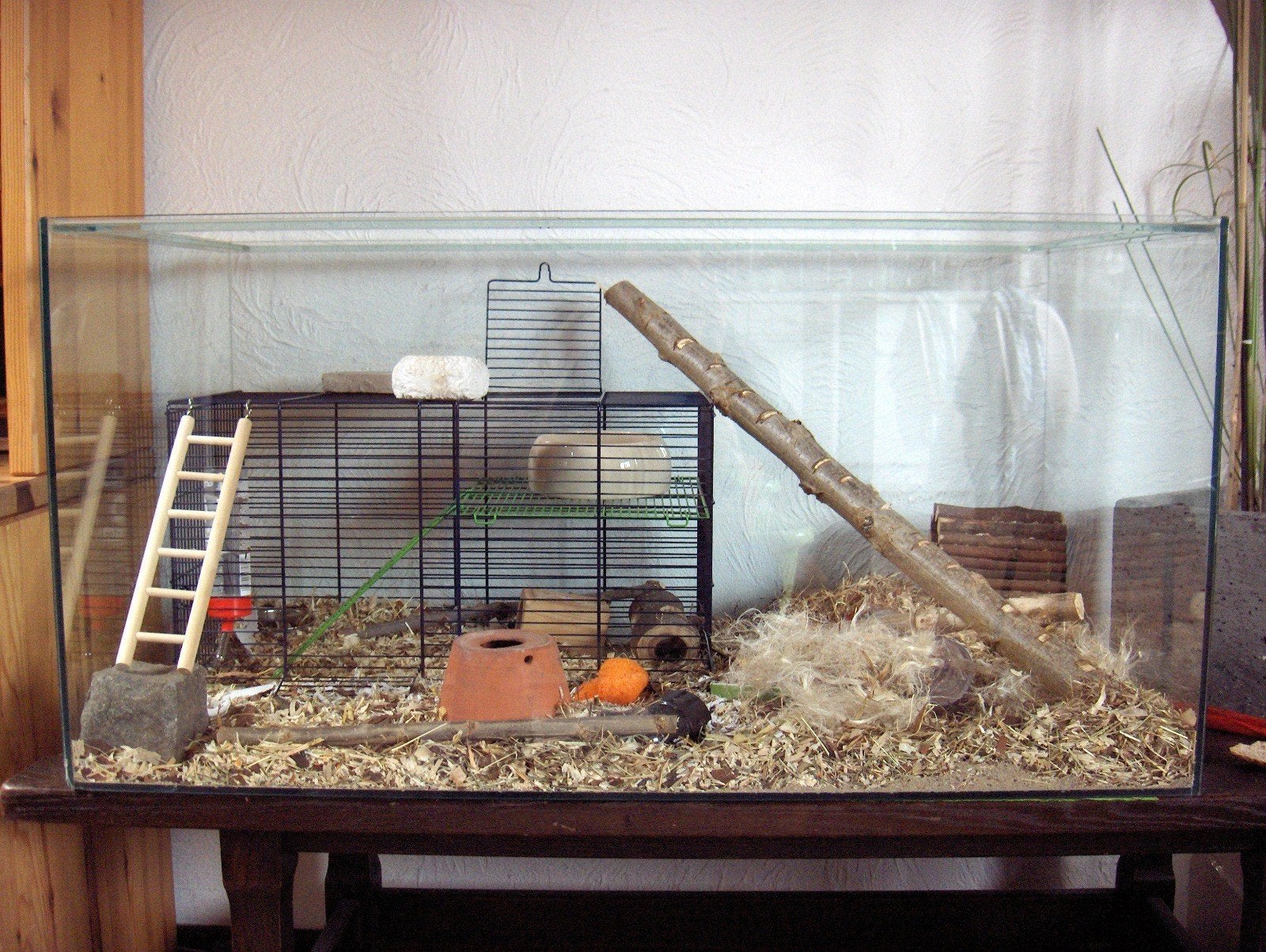 Grand aquarium/terrarium avec gerbilles/reptiles/accessoires, Enlèvement, Cage