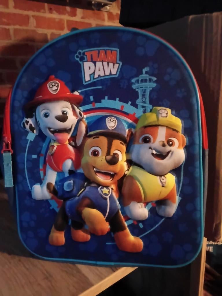 Paw patrol, Enlèvement