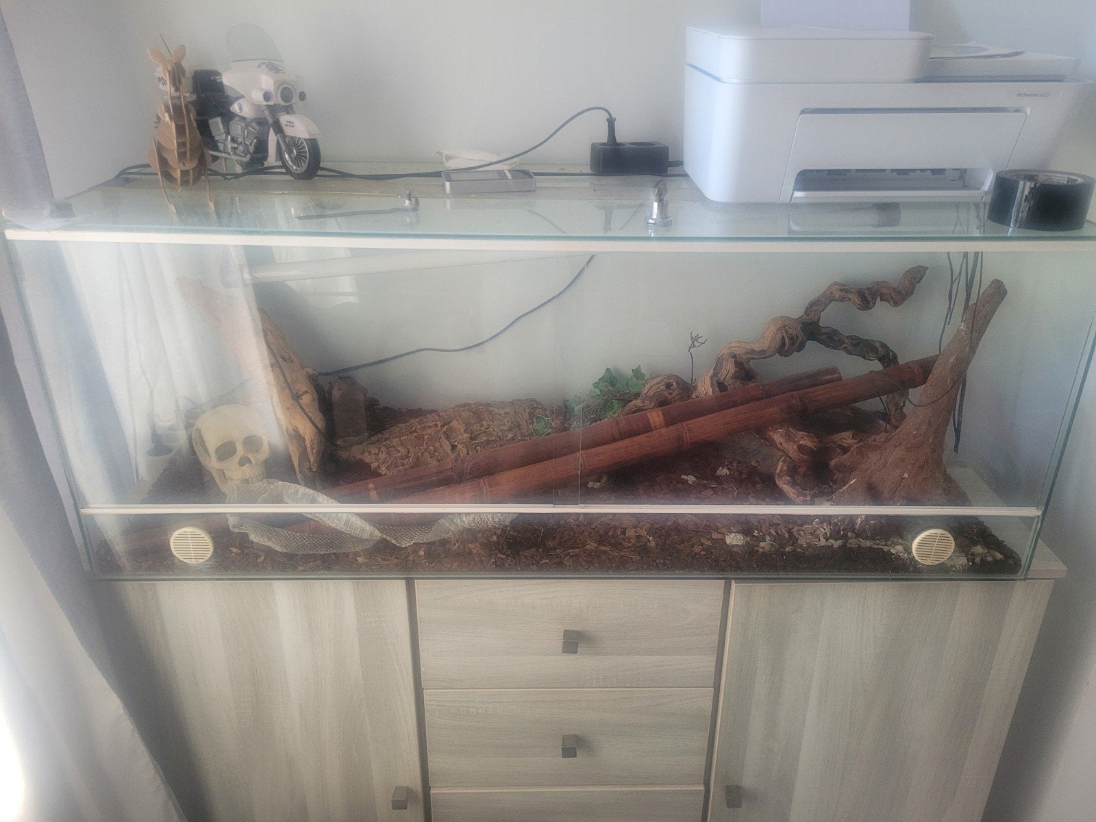 Vend terrarium avec son contenant