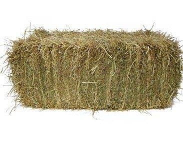 Hooi (eerste snee van mei 2026), Ophalen