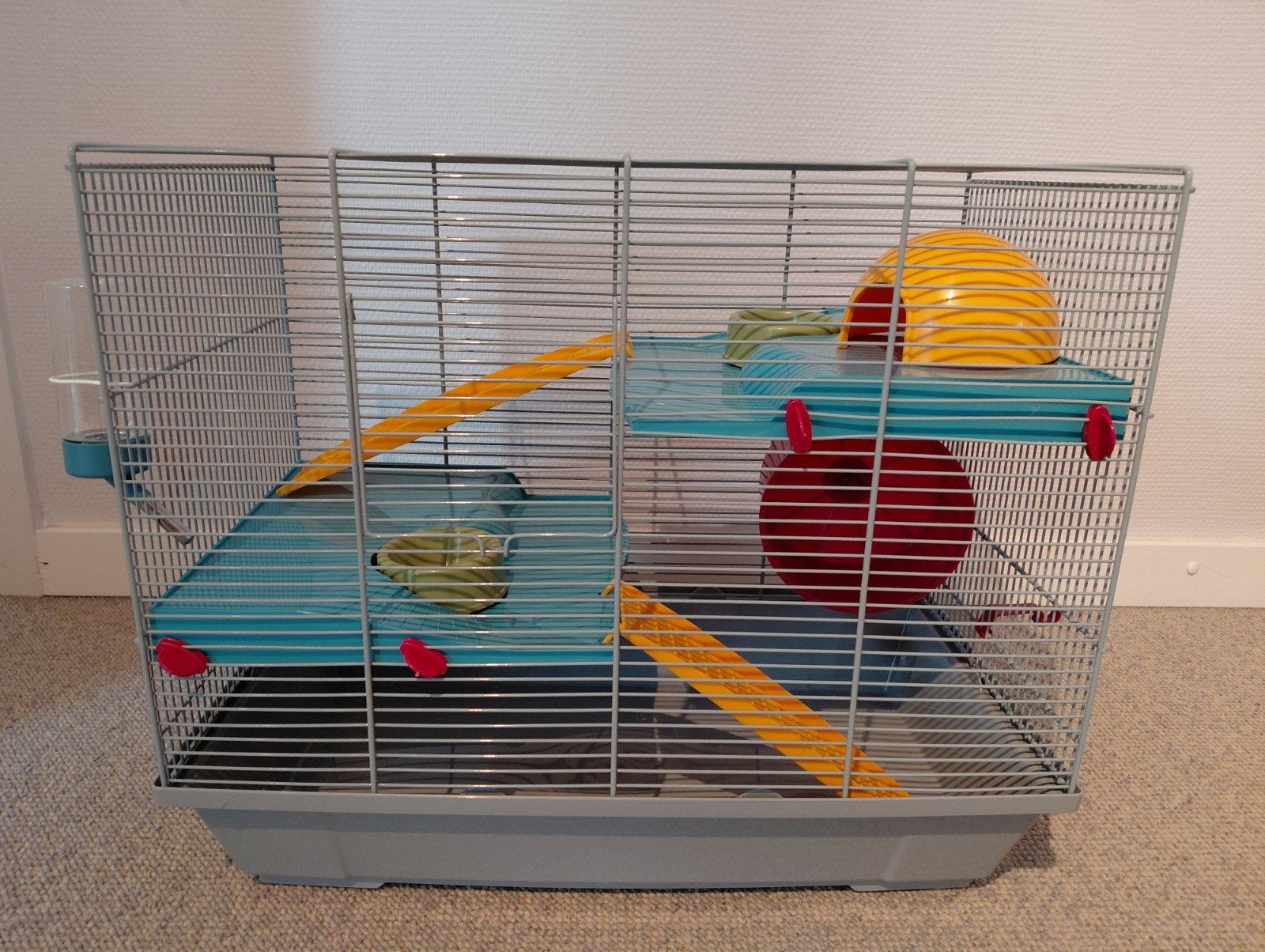 Mooie hamsterkooi van Voltrega, Enlèvement