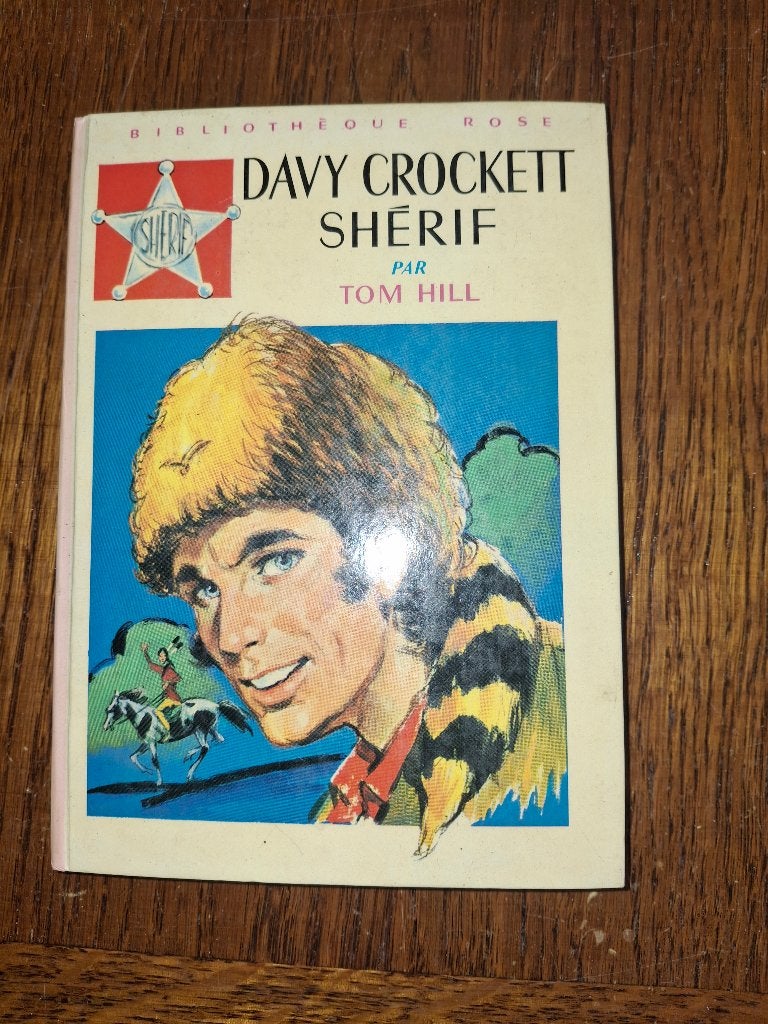 Livres divers Bibliothèque rose, Boeken, Kinderboeken | Jeugd | 13 jaar en ouder, Ophalen of Verzenden, Gelezen