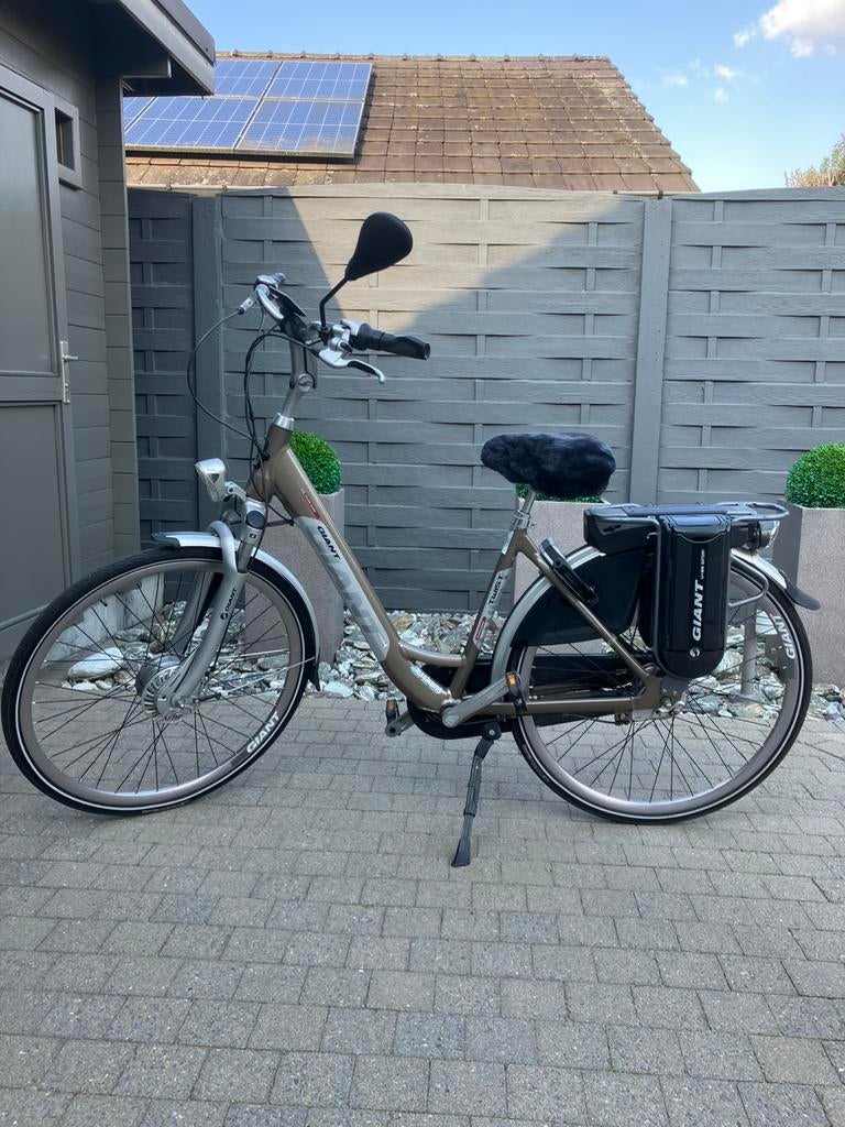 Giant twist double power, Ophalen, Zo goed als nieuw, Giant