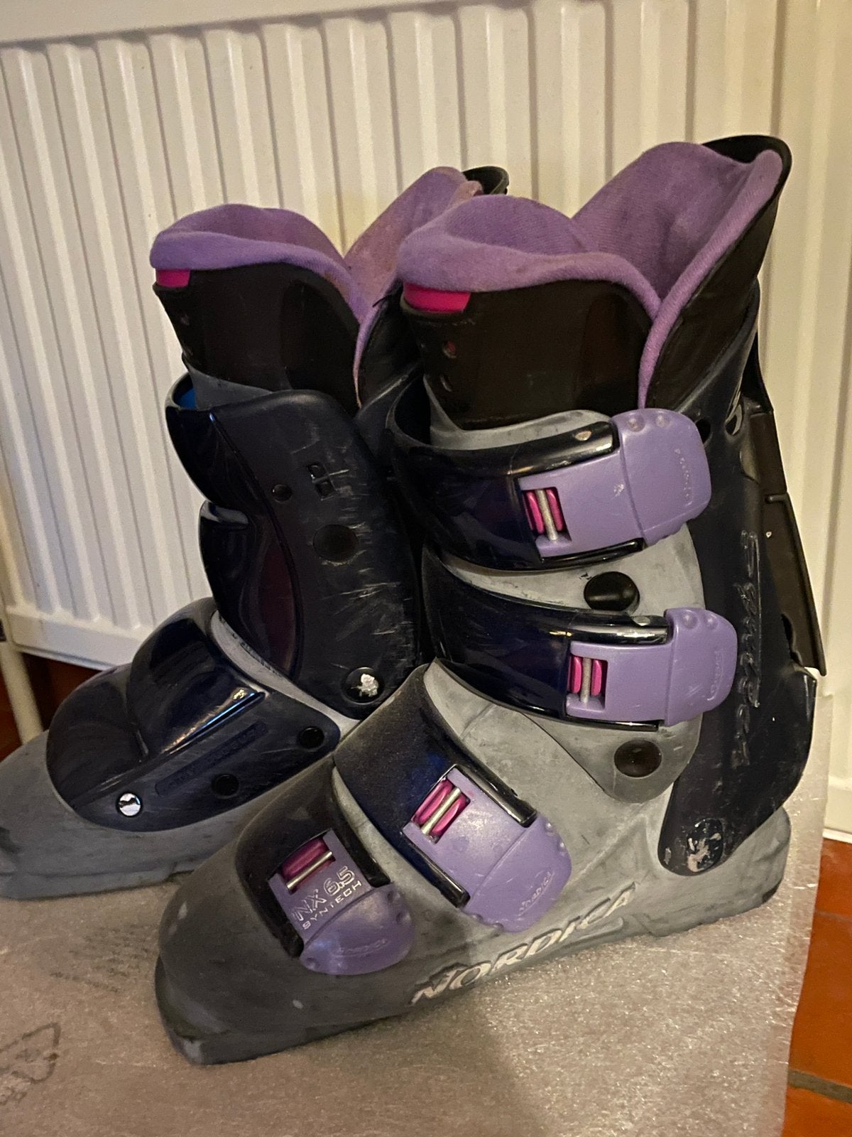 Dames skischoenen, Sport en Fitness, Ophalen, Gebruikt