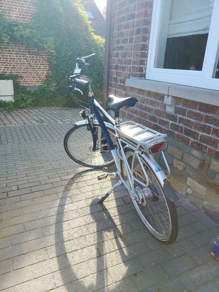 Electrische herenfiets, Enlèvement, Utilisé, Autres marques