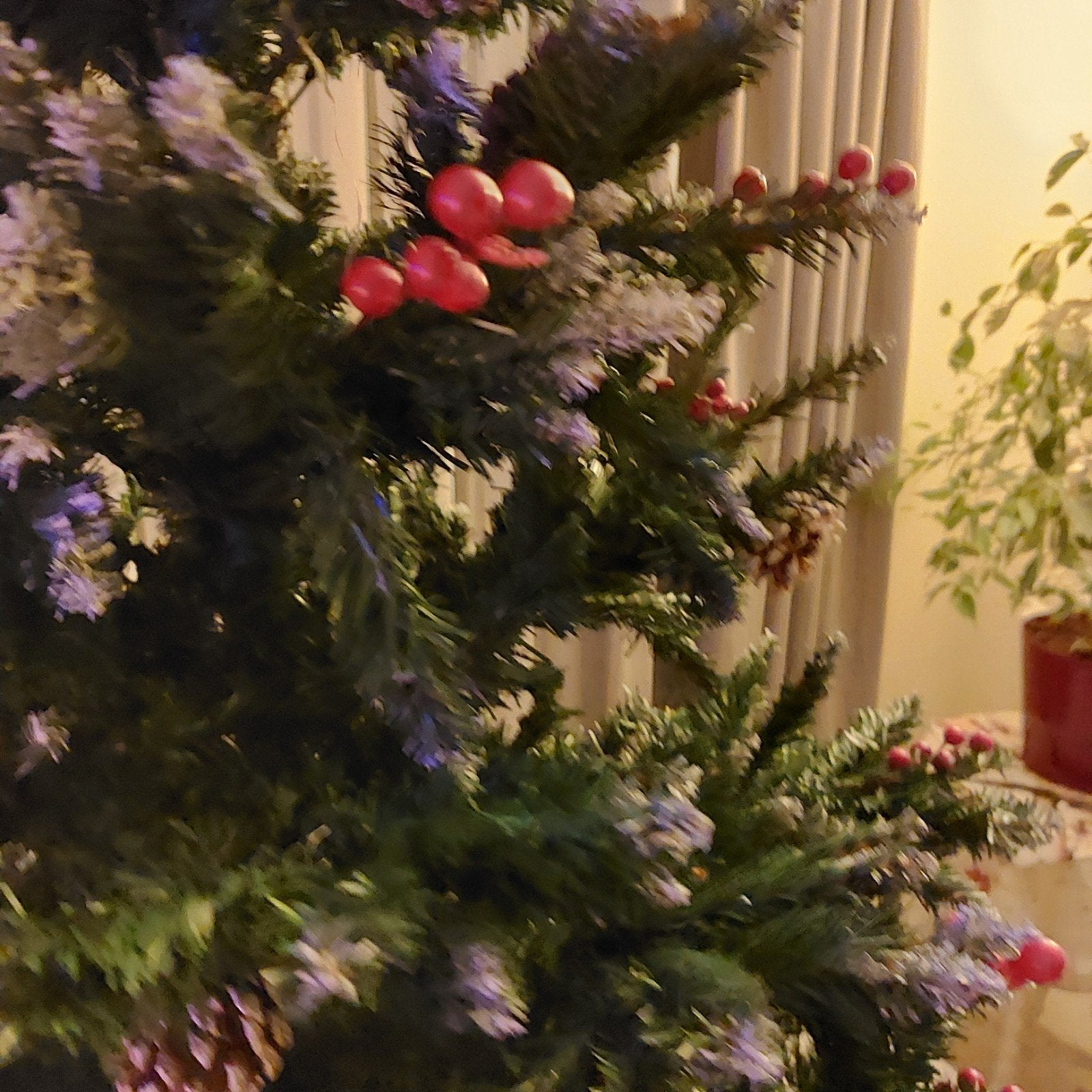 kerstboom, Enlèvement ou Envoi