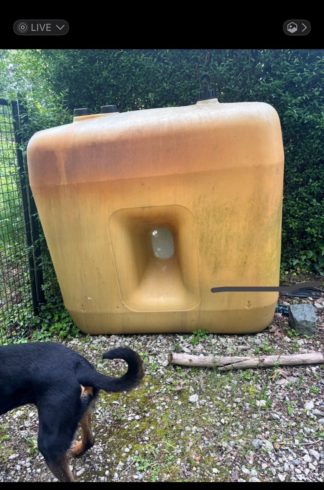 Gratis ton 1000liter, Jardin & Terrasse, Barils de pluie, 150 litres ou plus, Enlèvement, Utilisé, Synthétique