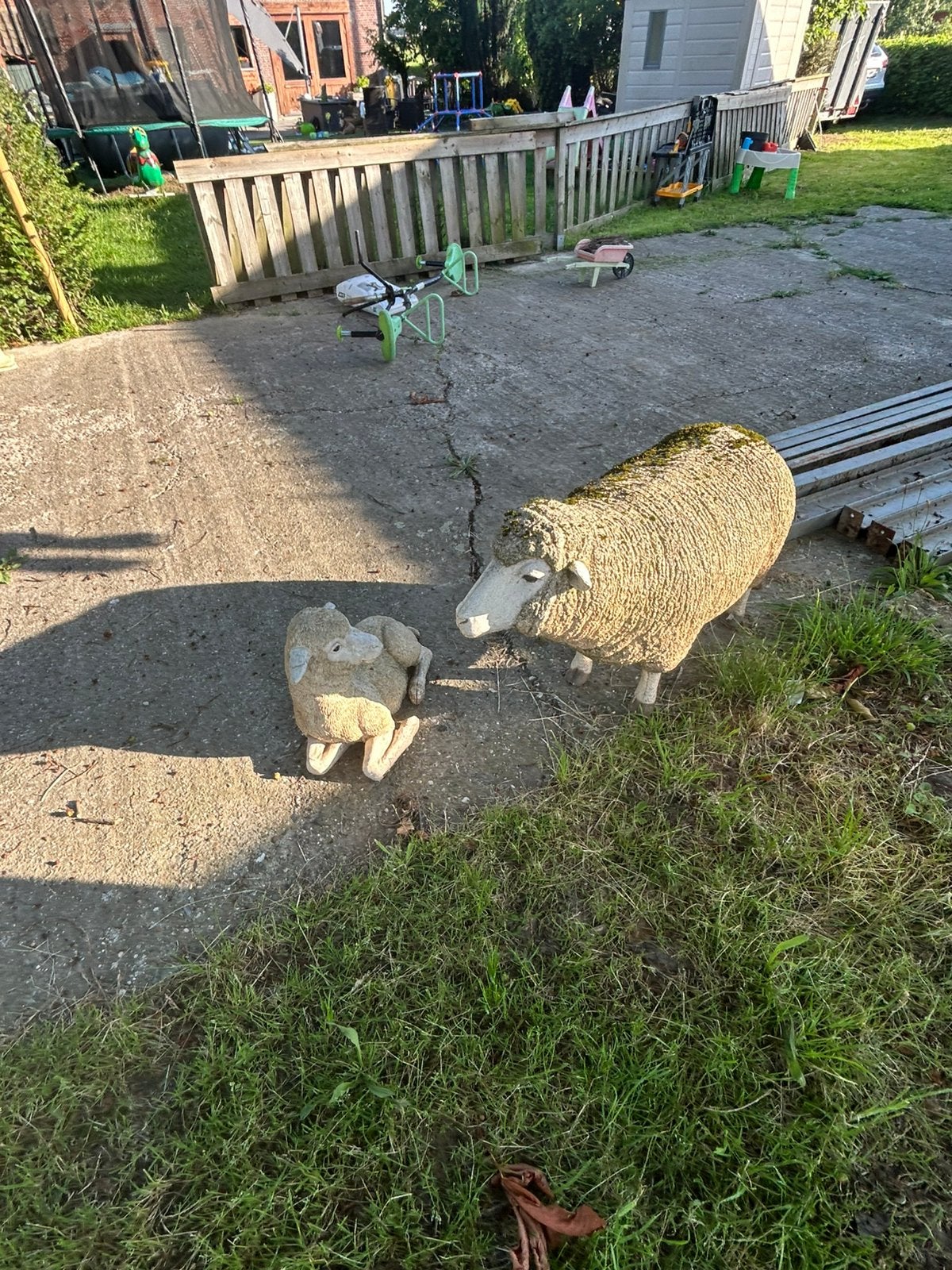 Namaak schaap, Ophalen