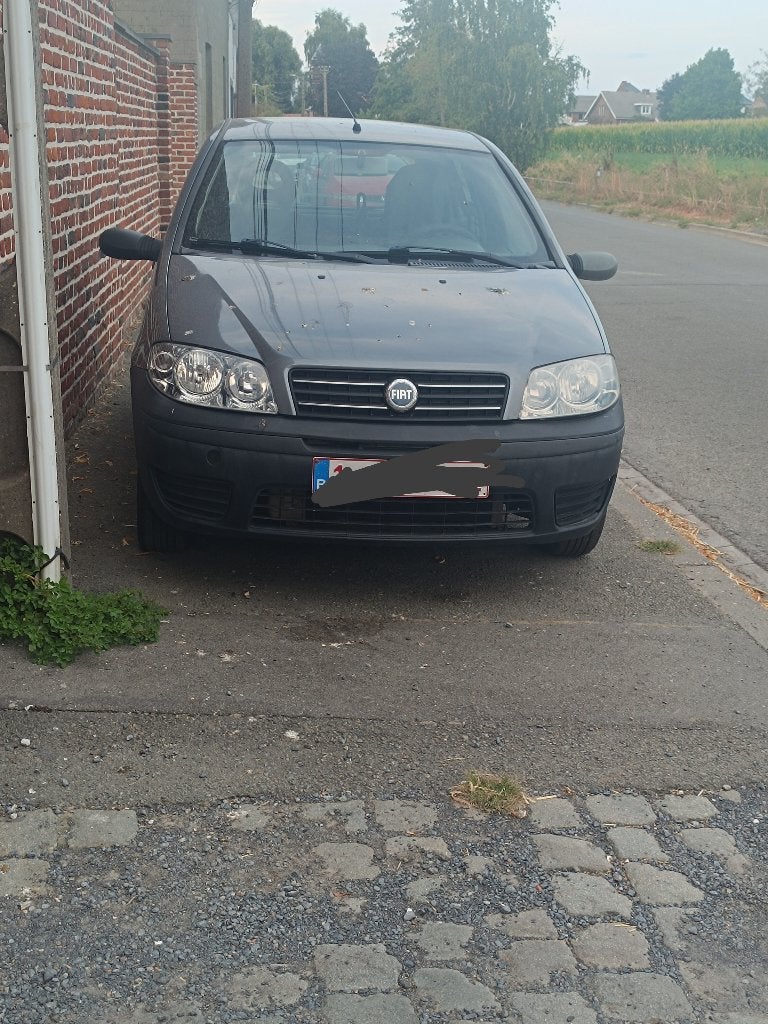 Fiat Punto, Autos, Fiat, Achat, Boîte manuelle, 5 places, Particulier