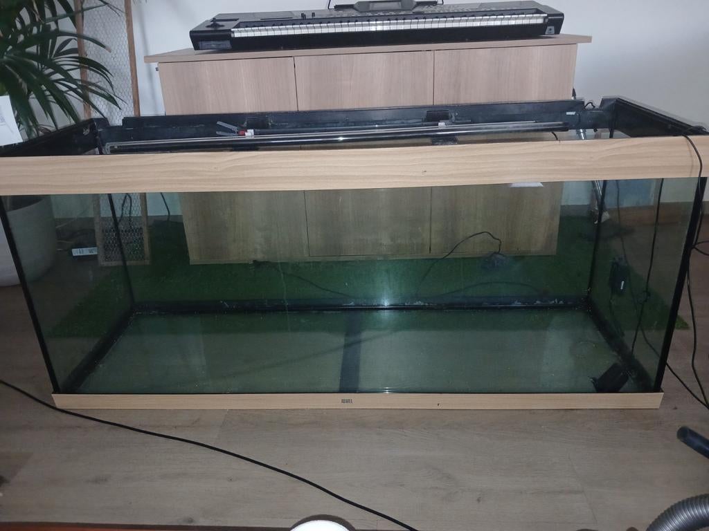Aquarium, Ophalen of Verzenden