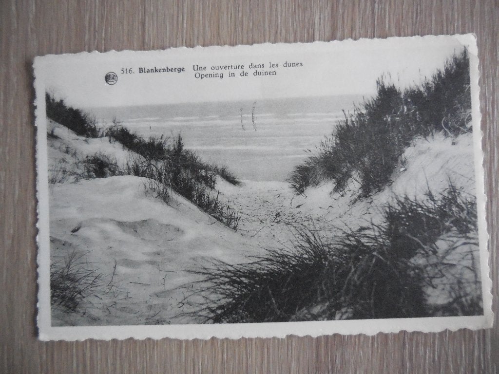 postkaart Blankenberge Duinen, Verzamelen, Ophalen of Verzenden, 1940 tot 1960, Gelopen, West-Vlaanderen