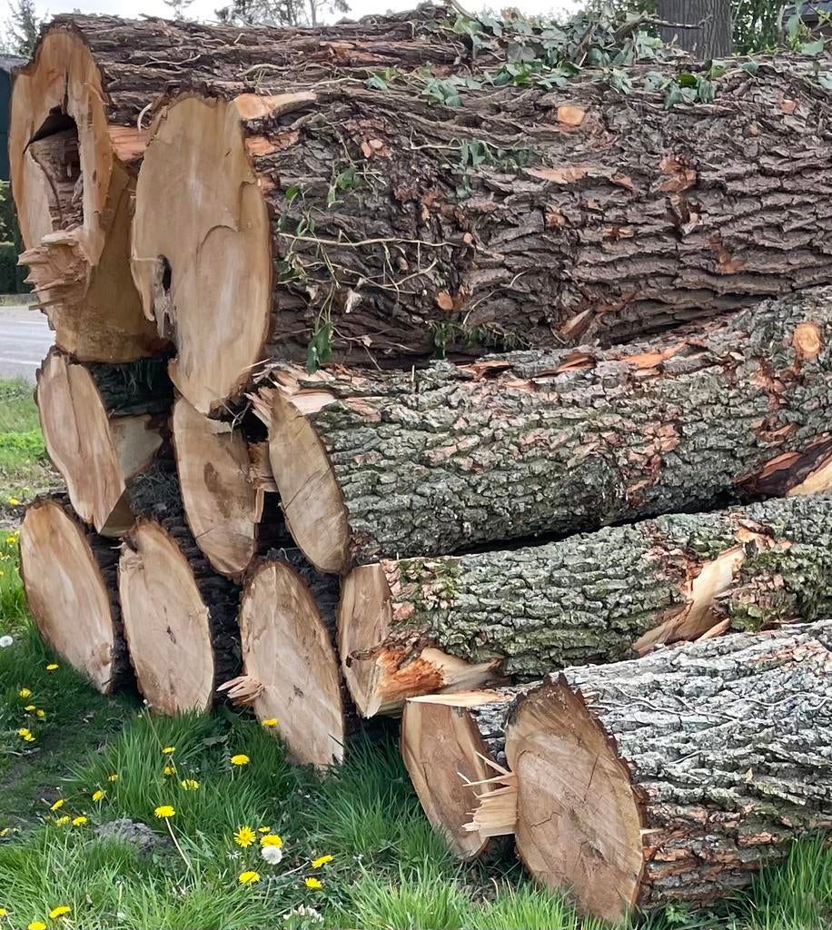 Kachel hout stam hout wilg, Tuin en Terras, Brandhout, 6 m³ of meer, Ophalen, Stammen