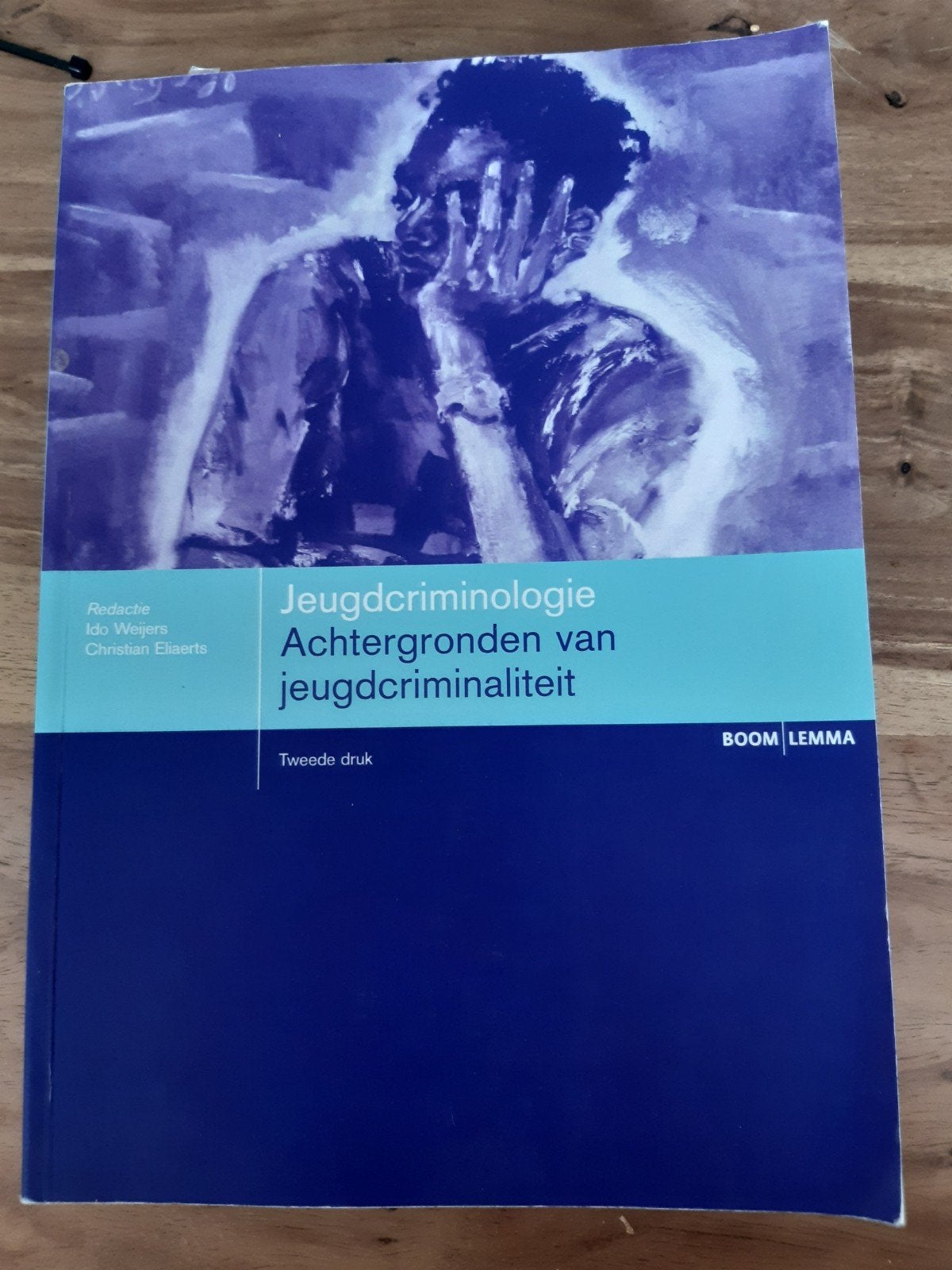 Jeugdcriminologie - achtergronden van jeugdcriminaliteit, Ophalen of Verzenden, Zo goed als nieuw