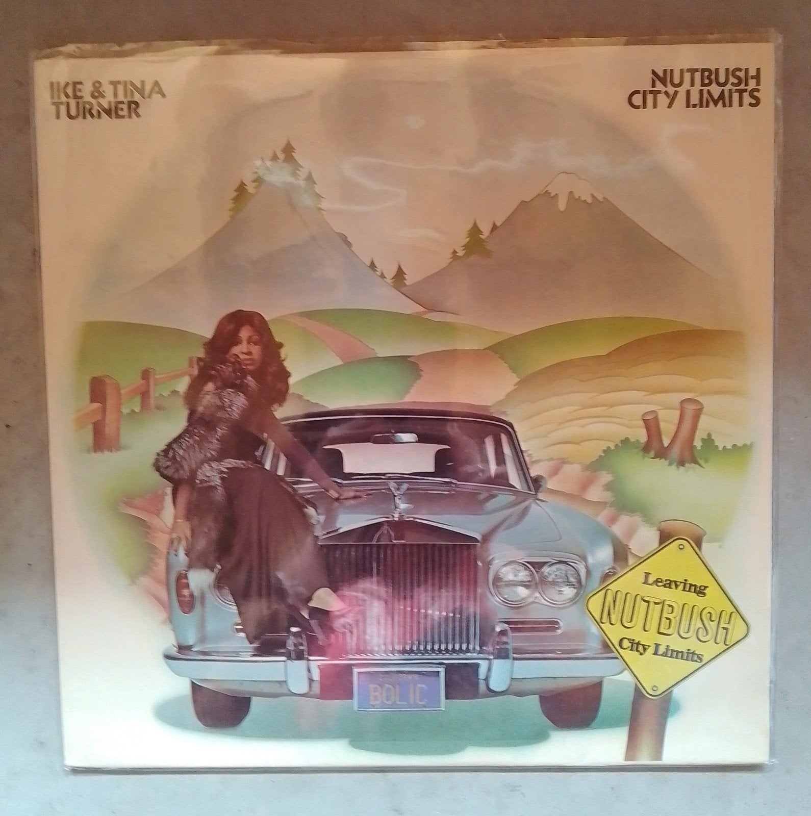 Ike & Tina Turner - Nutbush city limits, Ophalen of Verzenden
