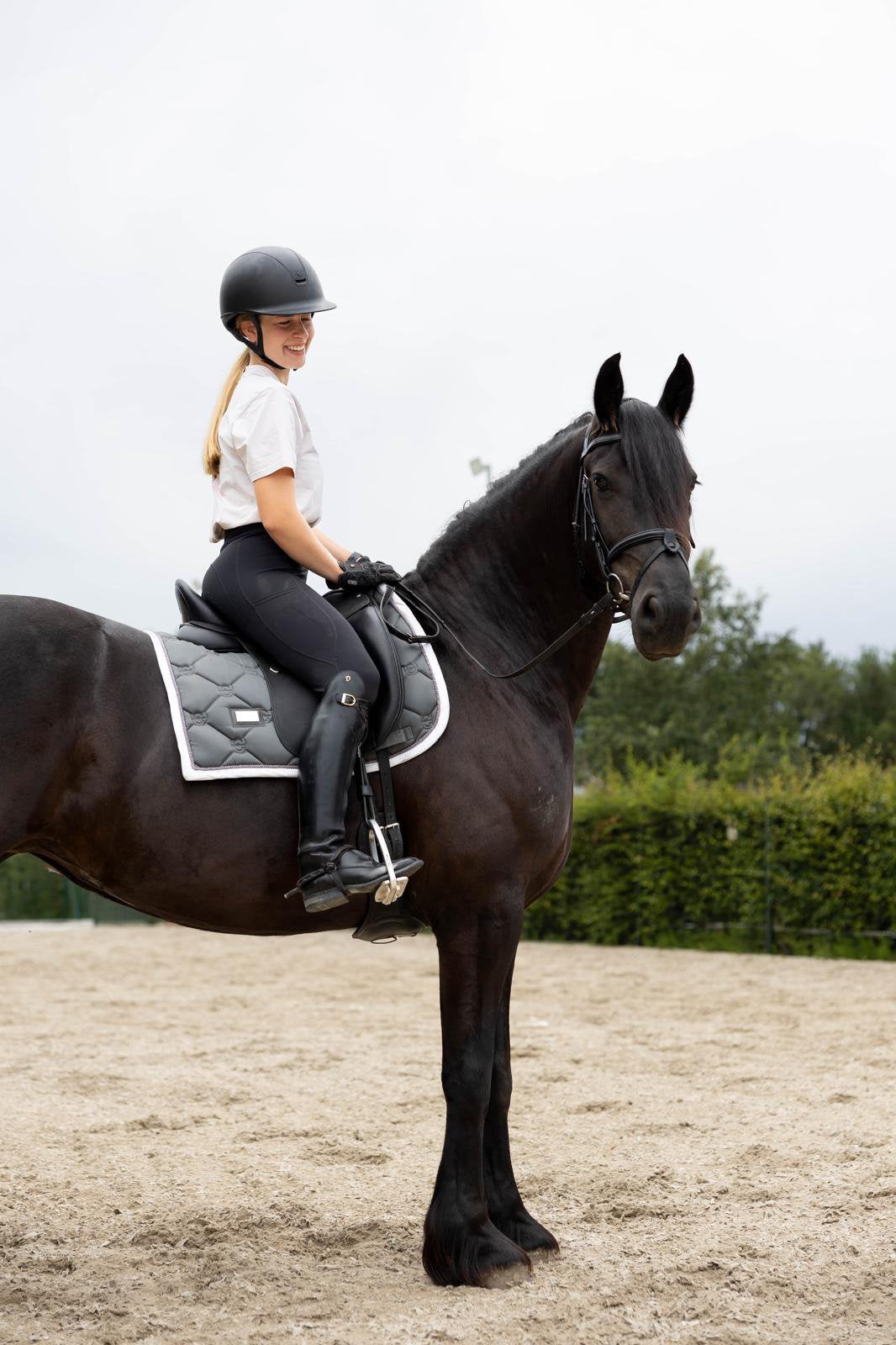 Rieka van ‘t Wilbroek, Jument