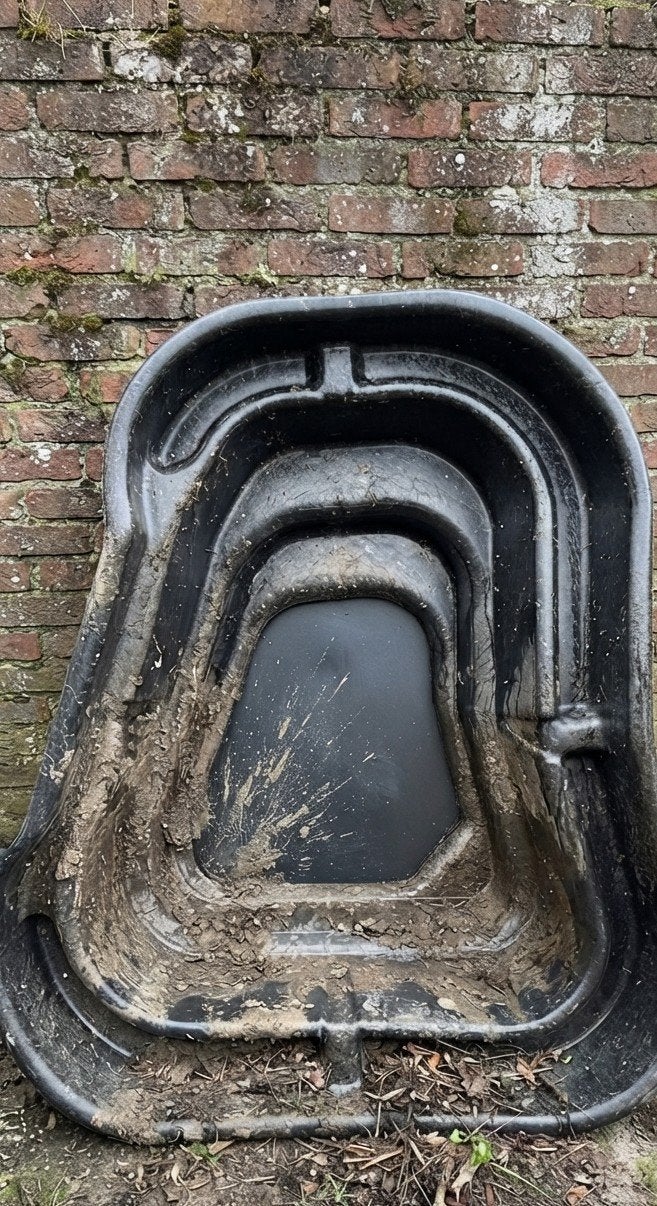 Mooi Vijver 4 maanden oud, Tuin en Terras, Vijvers, Ophalen