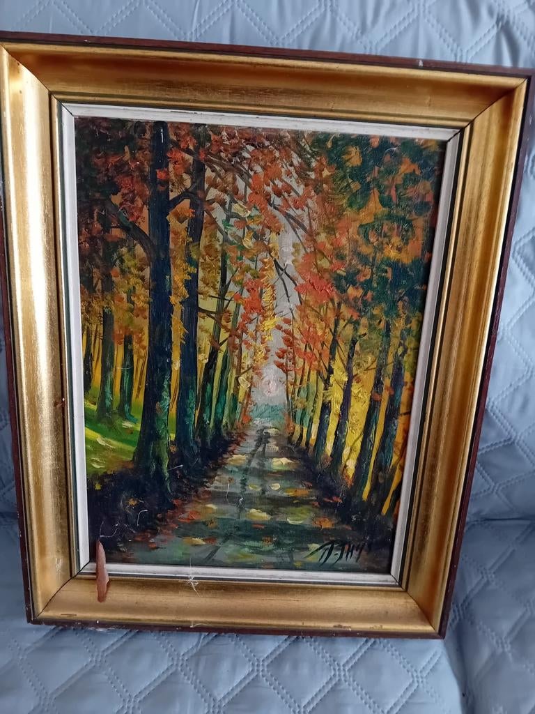 Arbres automne