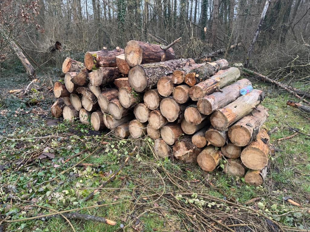 Bois résineux a vendre, 6 m³ of meer, Ophalen, Overige houtsoorten, Blokken
