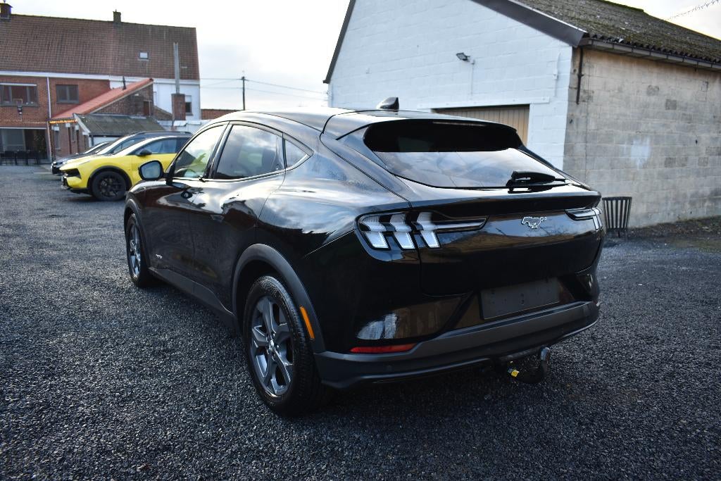 Ford Mustang Mach-E  |  75,7 kWh | 296pk | MET GARANTIE, Autos, Ford, Achat, Entreprise, Garantie prolongée, Noir
