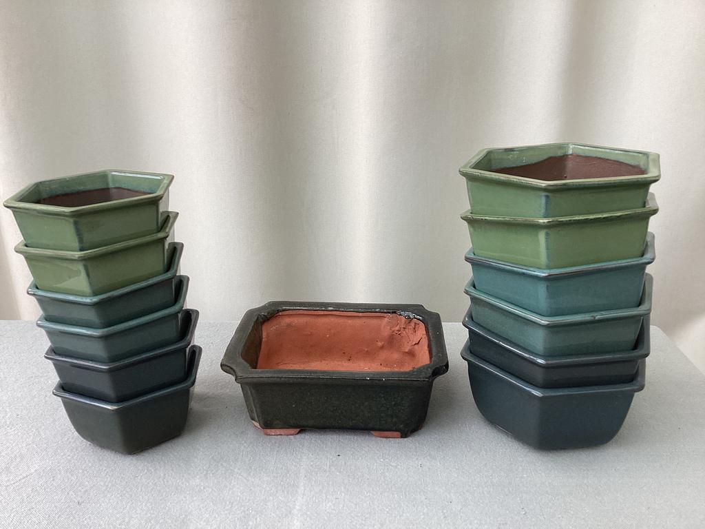 Bonzaï containers, Ophalen of Verzenden, Zo goed als nieuw, Rechthoekig