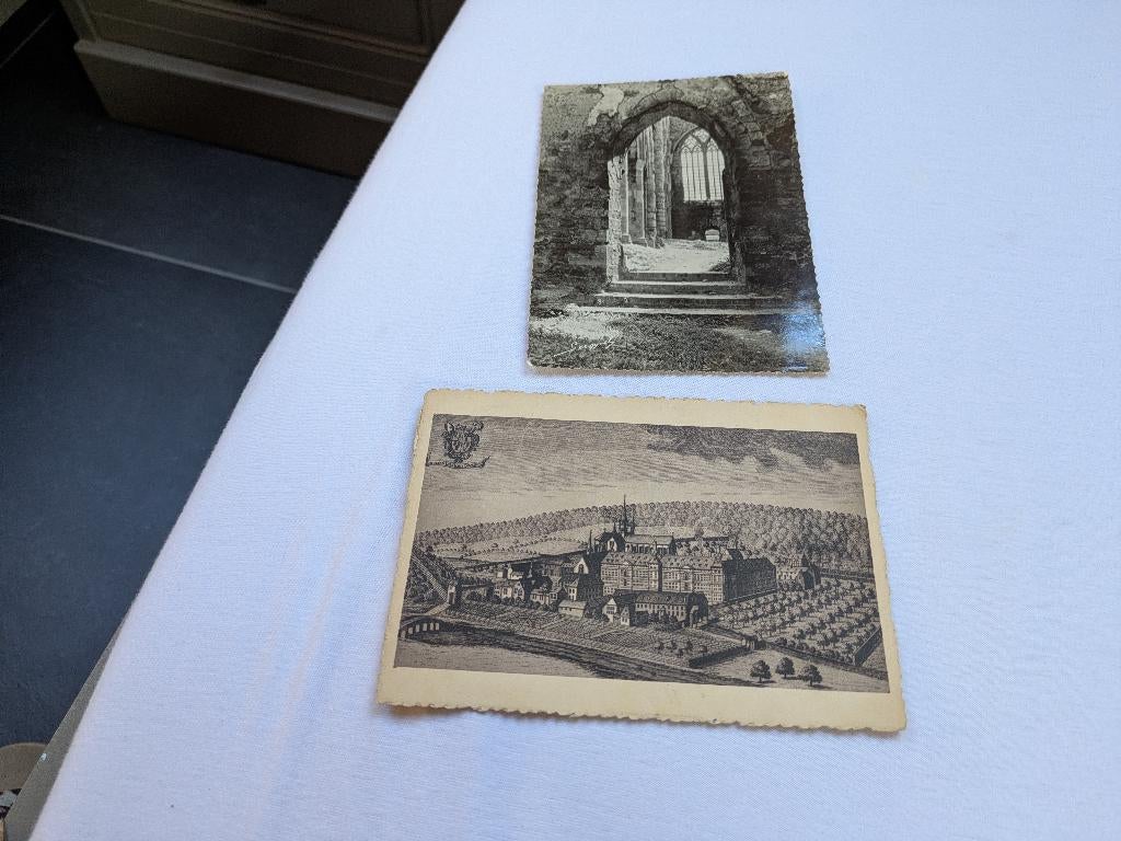 Abbaye d'aulne, Collections, Enlèvement ou Envoi, Affranchie