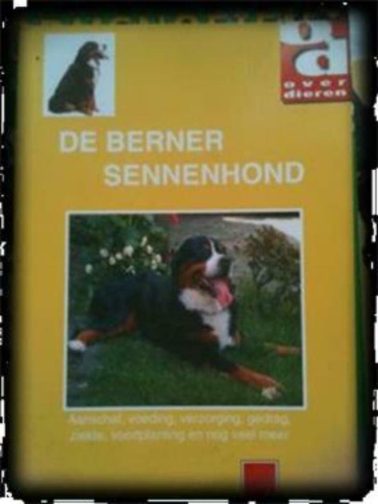 De Berner sennenhond, Enlèvement ou Envoi, Utilisé, Chiens