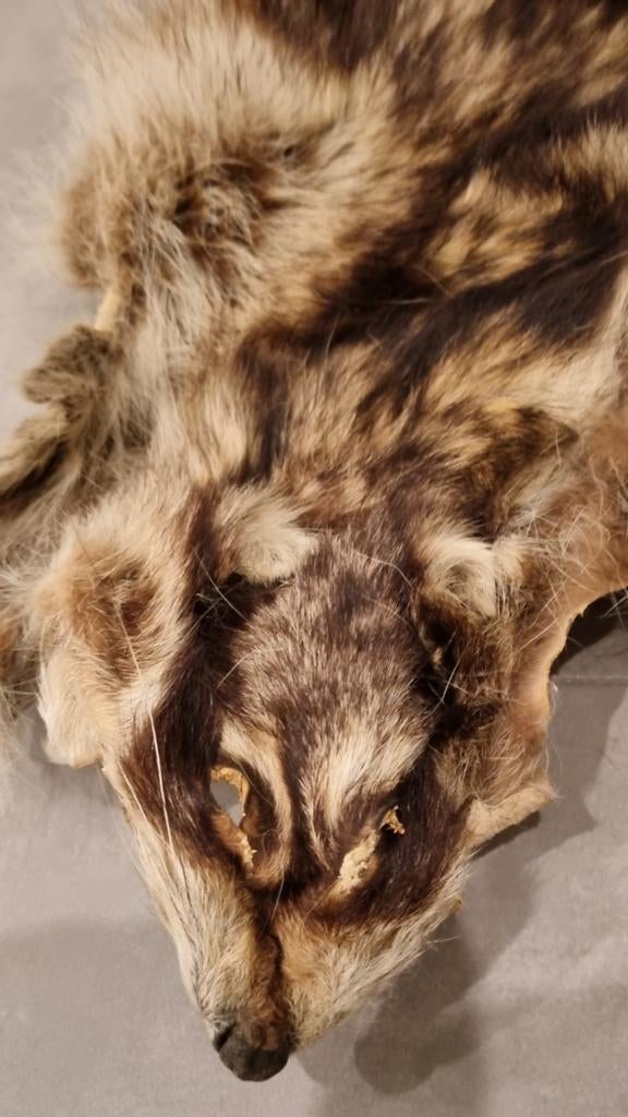 Différentes peaux d'animaux, Enlèvement ou Envoi