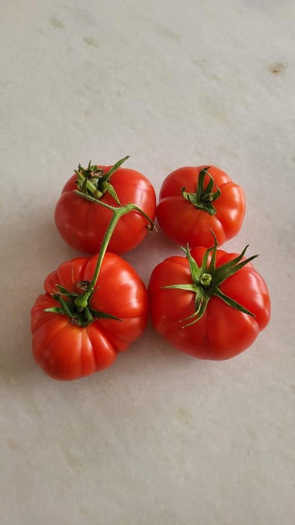 Bio tomaten zaden (10 zaden voor 1 euro), Tuin en Terras, Ophalen of Verzenden