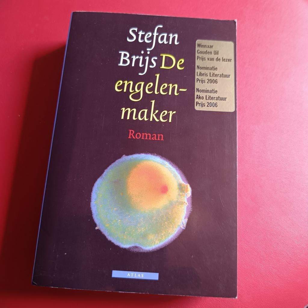 Stefan Brijs - De engelenmaker, Boeken, Ophalen of Verzenden, Zo goed als nieuw, Stefan Brijs
