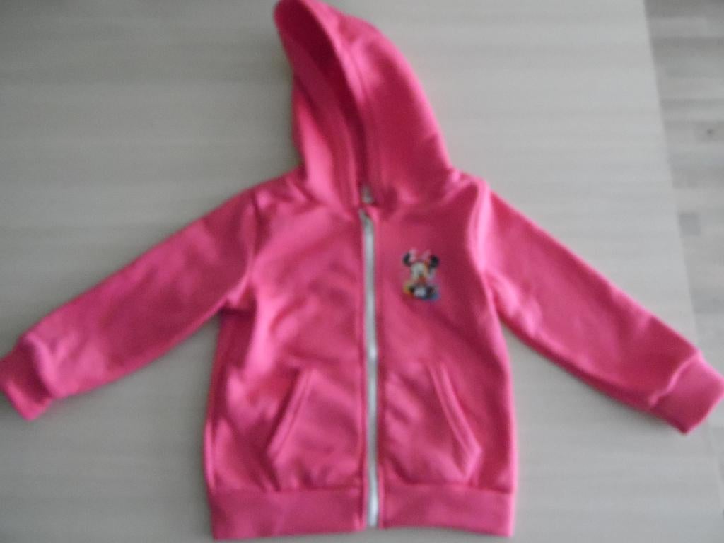 VESTE À CAPUCHE MINNIE     DISNEY NEUF, Enfants & Bébés, Vêtements enfant | Taille 116, Enlèvement ou Envoi, Pull ou Veste, Fille
