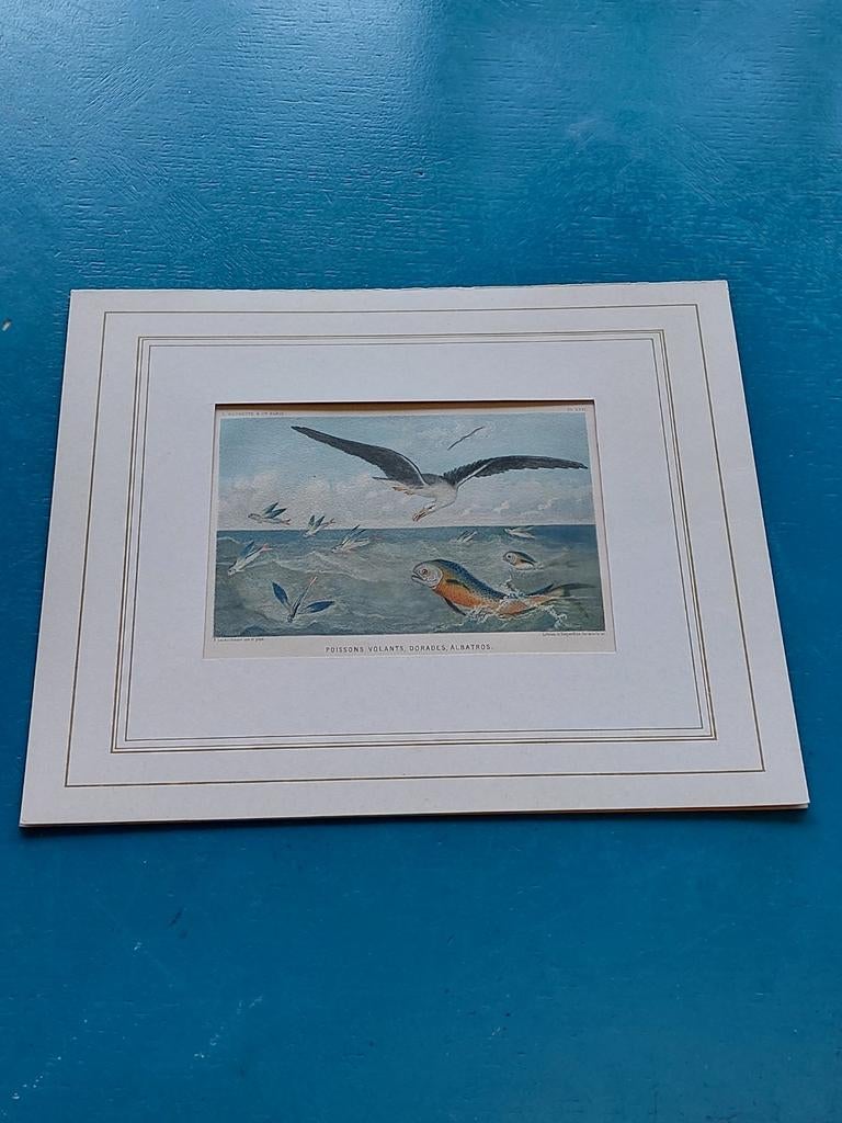 Chromolithographie, Enlèvement ou Envoi