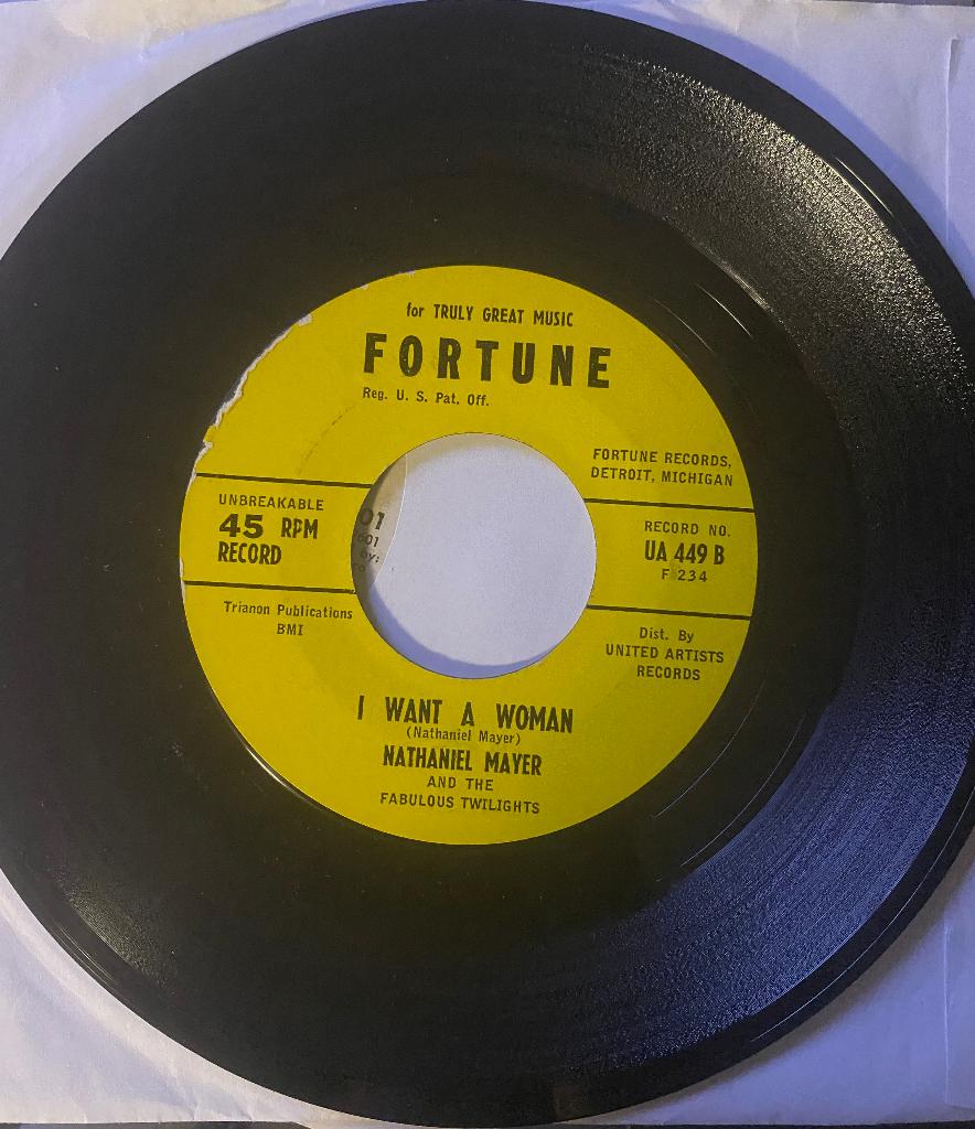 Village Of Love - I Want A Woman, Ophalen of Verzenden, Gebruikt, Overige formaten, Soul of Nu Soul