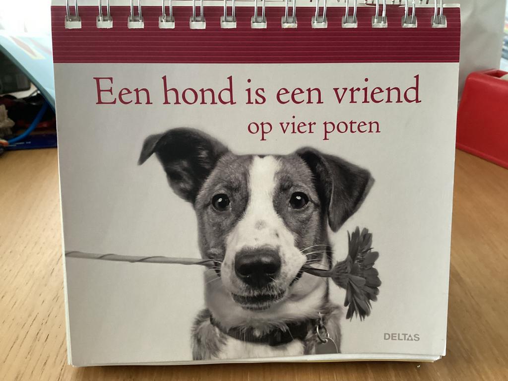 Een hond is een vriend op vier poten (BV1), Enlèvement ou Envoi, Utilisé