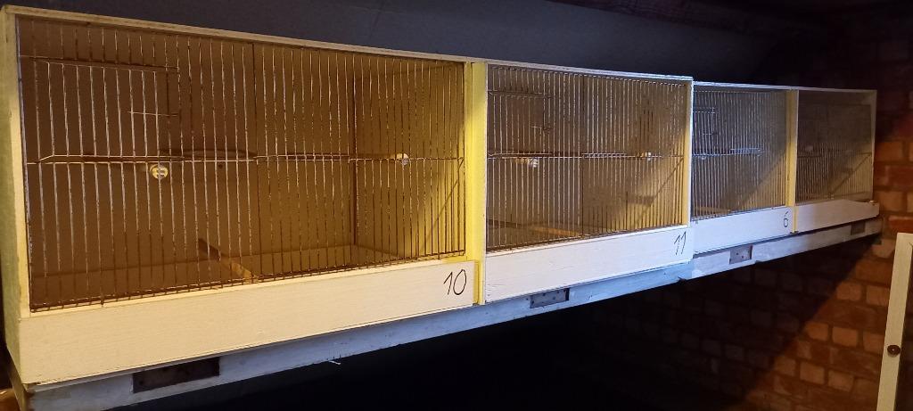 verschillende zelfgemaakte kweekkooien voor kanaries, Enlèvement, Utilisé, Bois, Cage d'élevage