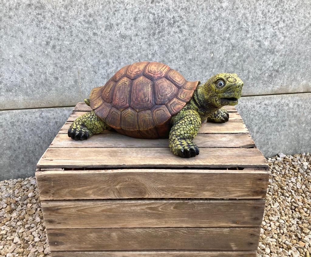 Beeld schildpad naturel L 40cm, Enlèvement ou Envoi, Neuf, Animal