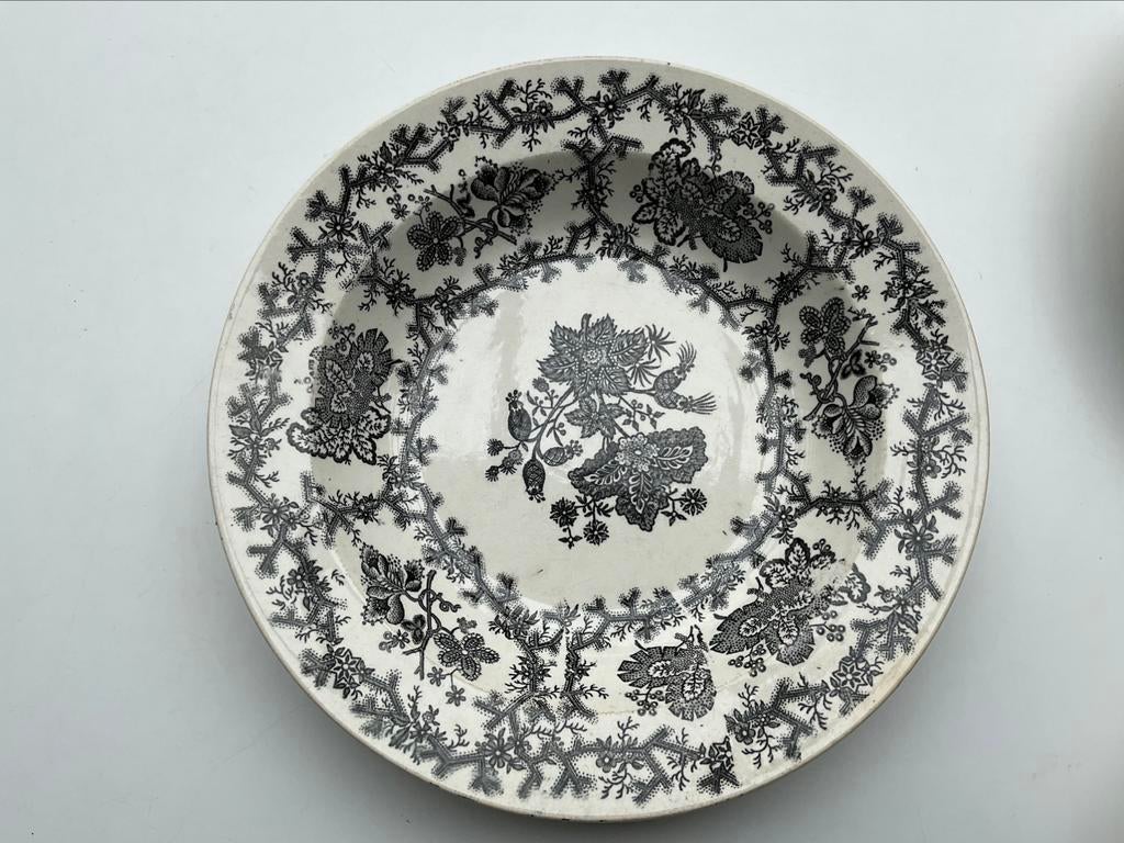 Antieke borden Coral Border van Wedgewood porselein, Ophalen