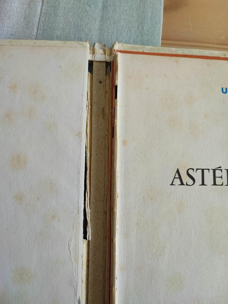 Astérix et les Goths 1963, Boeken, Gelezen, Eén stripboek, Ophalen of Verzenden, Goscinny / Uderzo