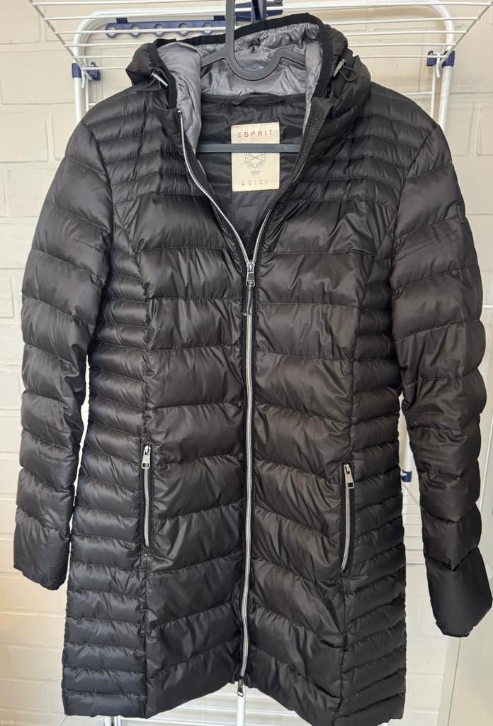 Esprit jas nieuw Medium, Kleding | Dames, Ophalen of Verzenden, Zo goed als nieuw, Zwart