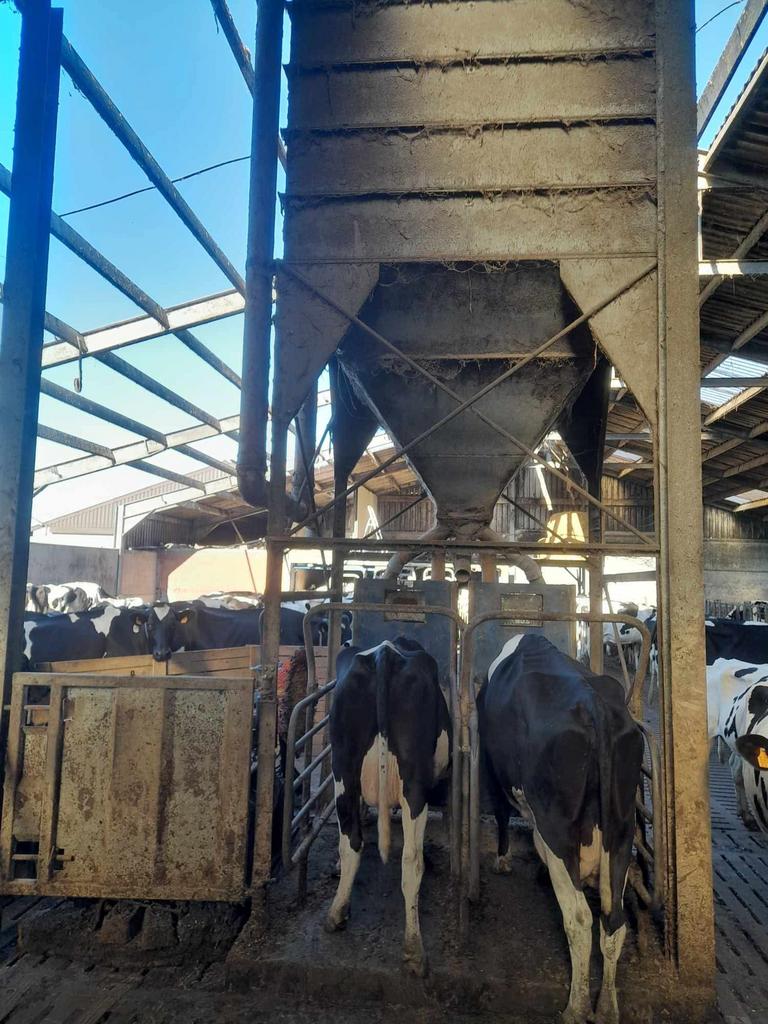 IJzeren silo van 6 ton, Dieren en Toebehoren, Runderen