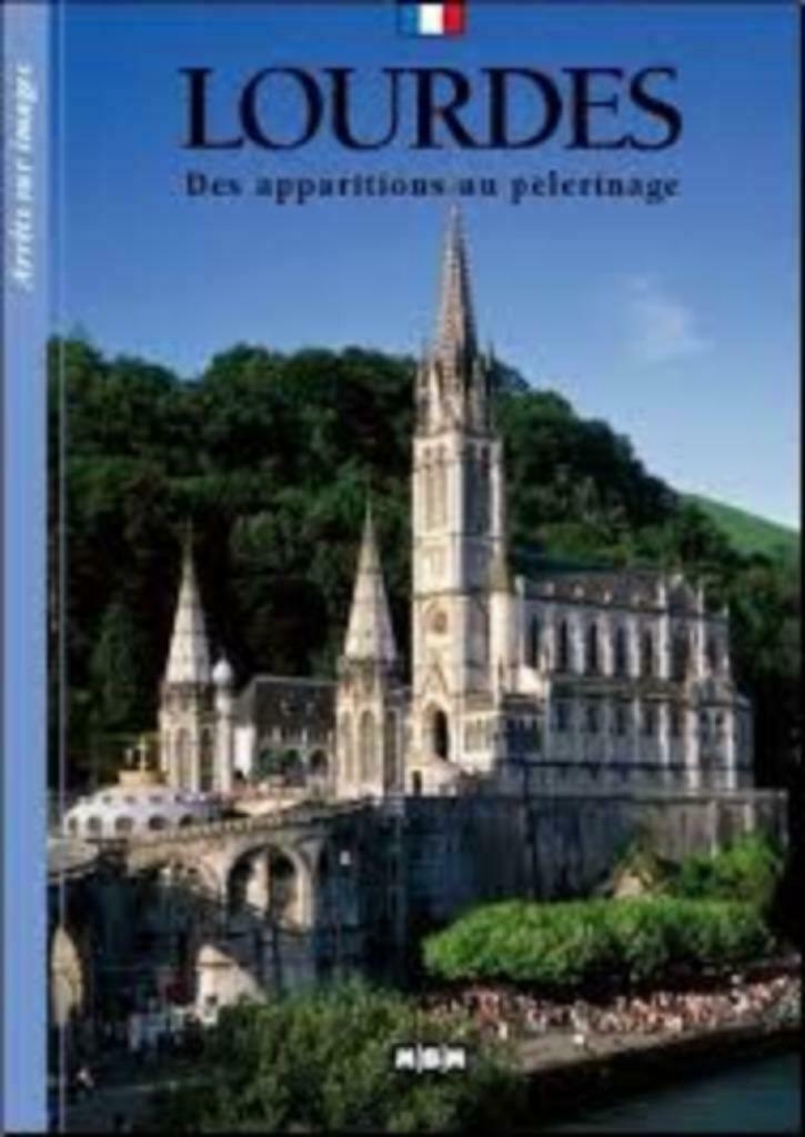 Lourdes. Des apparitions au pèlerinage, Ophalen of Verzenden, Zo goed als nieuw, Marie Caujolle