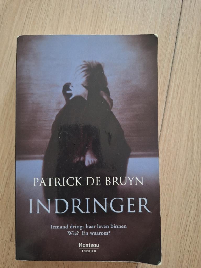 Boek: De indringer, Ophalen of Verzenden, Gelezen, Patrick de Bruyn