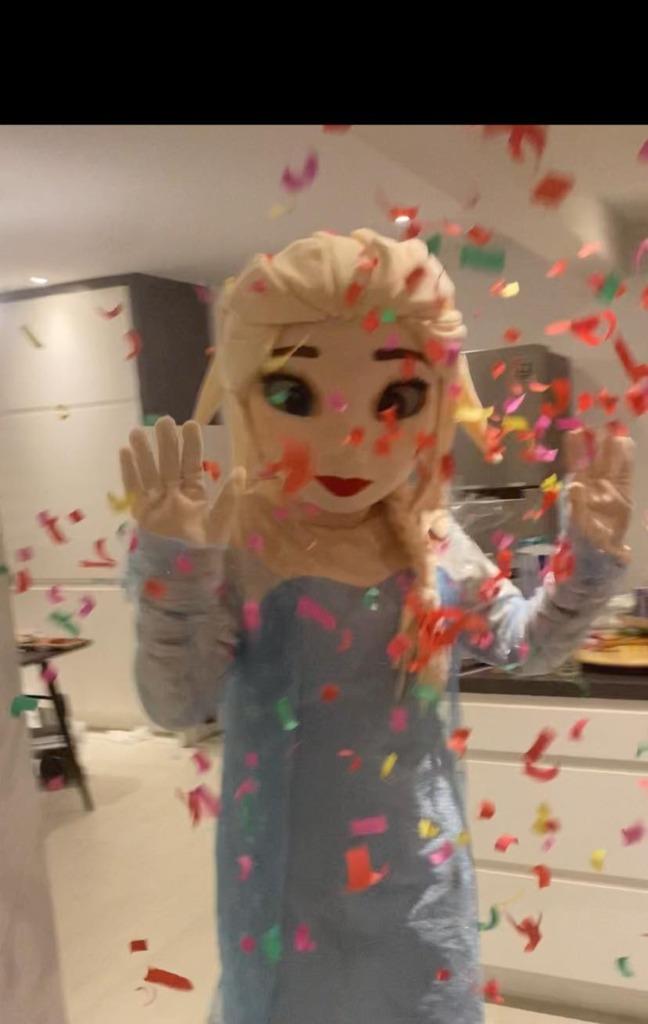 Elsa mascotte te huur, Enlèvement, Utilisé, Costume