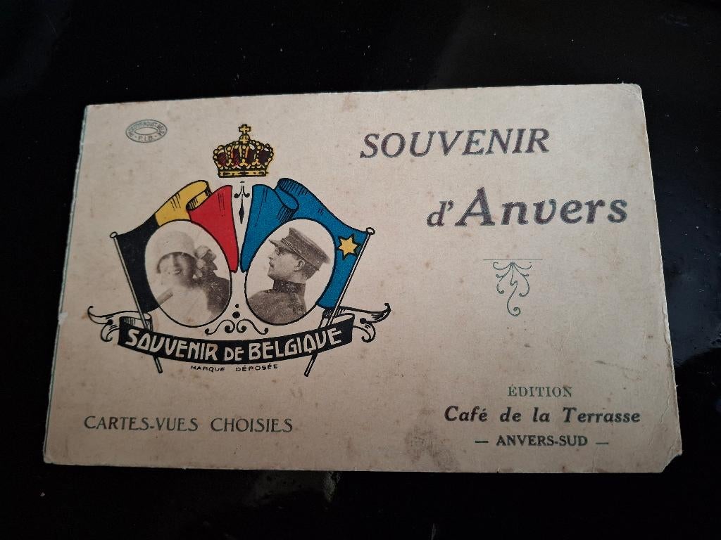 Postkaart Koningin Elisabeth - Koning Albert I, Verzamelen, Verzenden, Gebruikt, Kaart, Foto of Prent