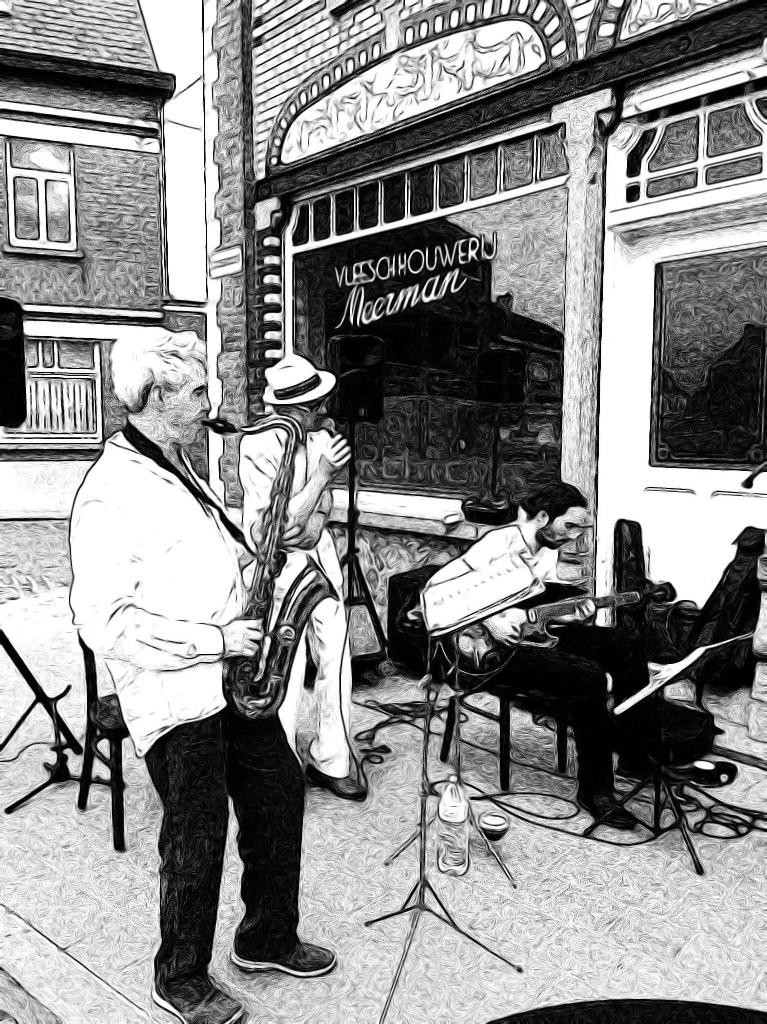 The blue parrot jazzband voor trouwreceptie, bedrijfsfeest…., Envoi, Neuf