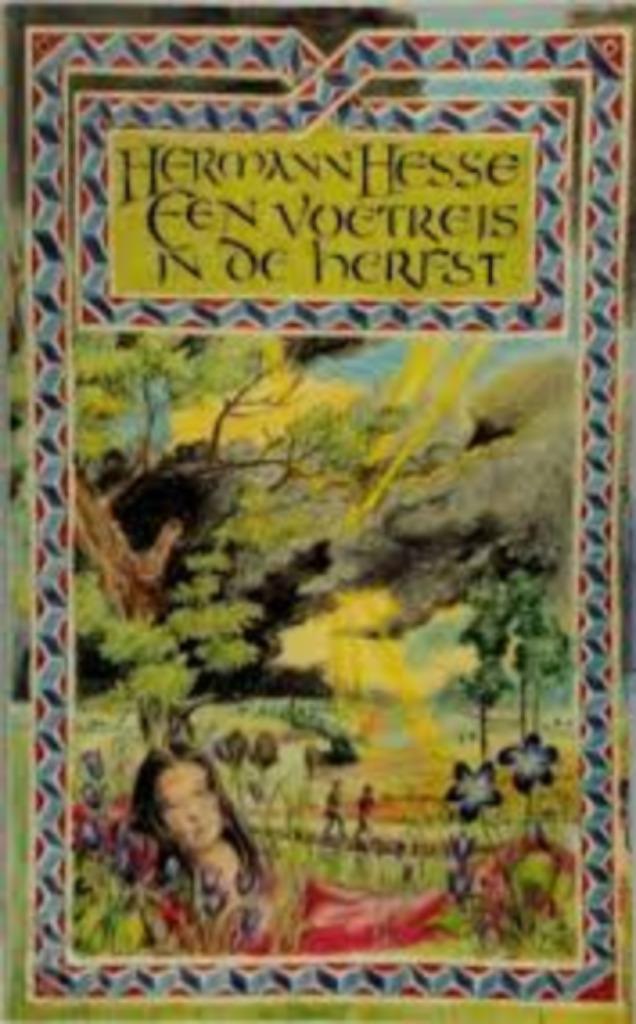 Een voetreis in de herfst|Hermann Hesse 9023411269, Boeken, Literatuur, Zo goed als nieuw, Europa overig, Ophalen of Verzenden
