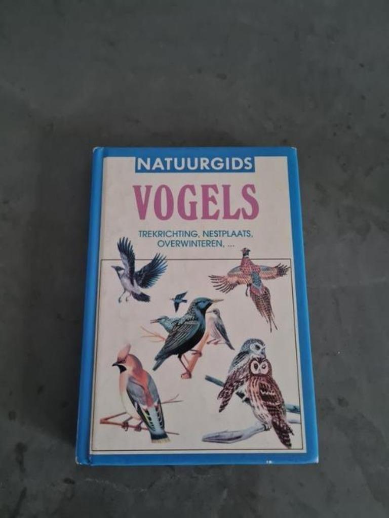 natuurgids - vogels, Livres, Nature, Enlèvement ou Envoi, Oiseaux