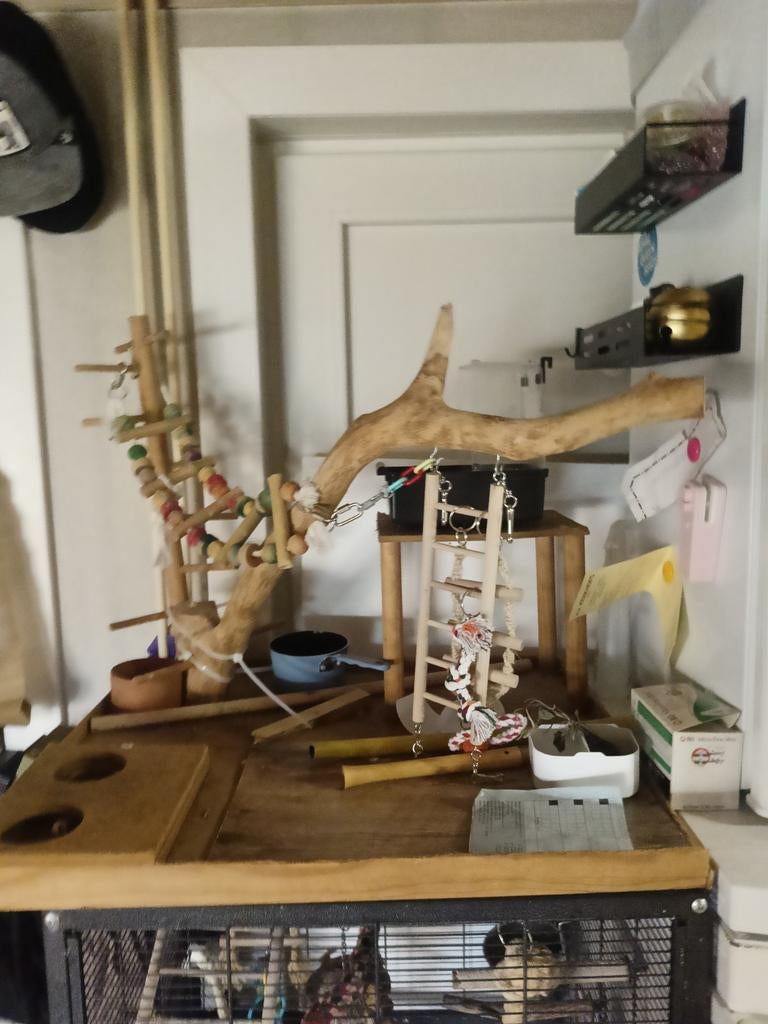 Vogelboom, Java, Hobby en Vrije tijd, Ophalen