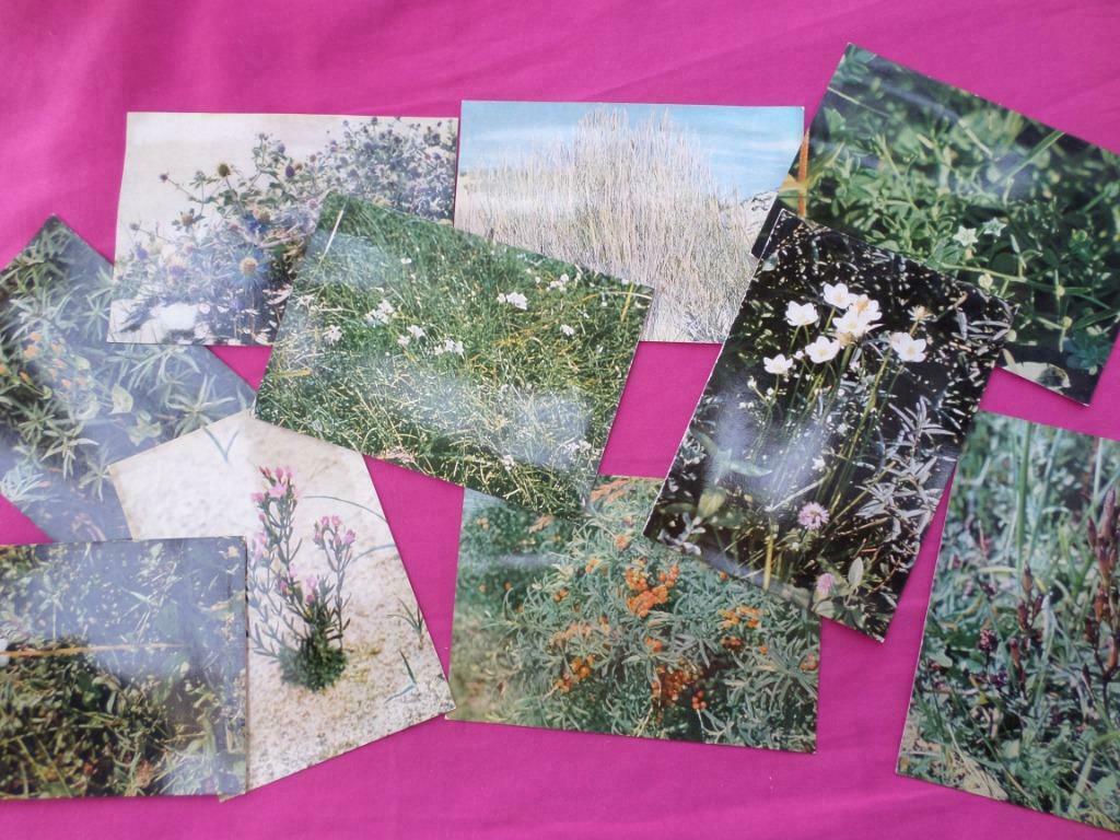 Lot de 10 cartes postales du Jardin Botanique de l'Etat, Enlèvement ou Envoi, 1980 à nos jours, Non affranchie, Bruxelles (Capitale)